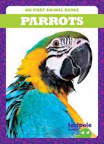 Parrots