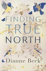Finding True North 