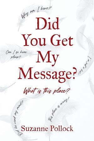 DID YOU GET MY MESSAGE?