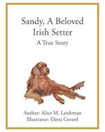 Sandy, A Beloved Irish Setter: A True Story 