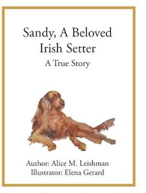 Sandy, A Beloved Irish Setter: A True Story