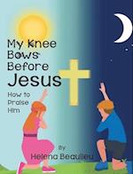 My Knee Bows Before Jesus: How to Praise Him 