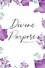 Divine Purpose 