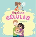 Muchas Células 