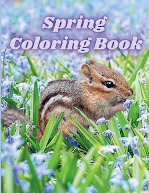 Spring Coloring Book