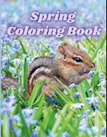 Spring Coloring Book