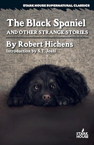 The Black Spaniel and Other Strange Stories