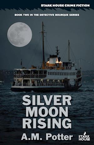 Silver Moon Rising