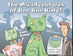 The Misadventures of Boo Boo Kitty!