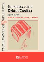 Examples & Explanations for Bankruptcy and Debtor/Creditor