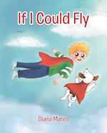 If I Could Fly 