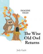 The Wise Old Owl Returns 