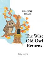 Wise Old Owl Returns