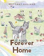 Forever Home 