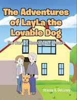 The Adventures of LayLa the Lovable Dog