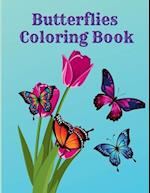 Butterflies Coloring Book