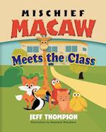 Mischief Macaw Meets The Class 