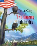 Love Story of Two Amazing Bald Eagles