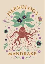 Harry Potter: Mandrake Embroidered Journal