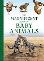The Magnificent Book of Baby Animals