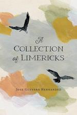 A Collection of Limericks 