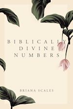 Biblically Divine Numbers 