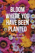 Bloom Where You Have Been Planted