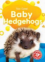 Baby Hedgehogs