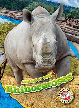 Rhinoceroses