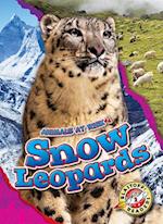 Snow Leopards