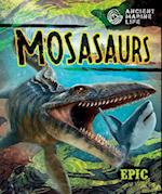 Mosasaurs