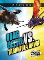 Dung Beetle vs. Tarantula Hawk