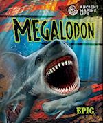 Megalodon