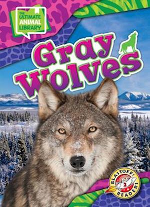 Gray Wolves