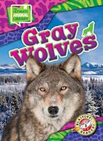 Gray Wolves