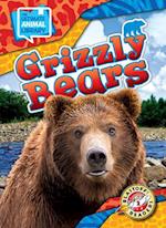 Grizzly Bears