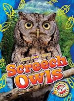 Screech Owls
