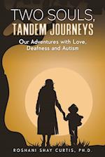 Two Souls, Tandem Journeys