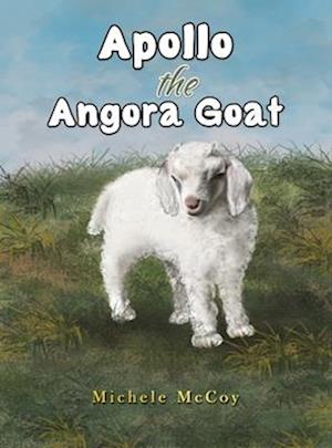 Apollo the Angora Goat