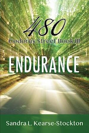 Endurance: 480 Codorus Street Book 3