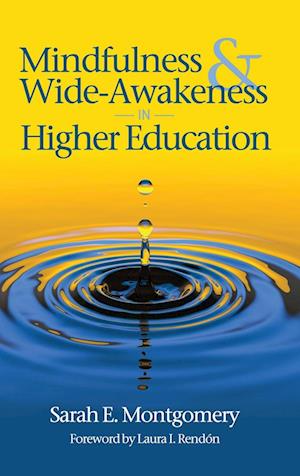 Mindfulness & Wide-Awakeness in Higher Education