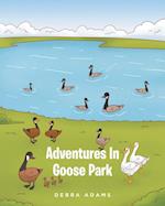 Adventures In Goose Park
