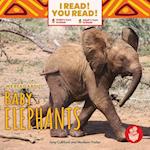 We Read about Baby Elephants