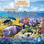 We Read about the Indian Ocean