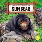 Sun Bear