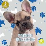 French Bulldogs