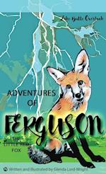 Adventures of Ferguson, the Little Read Fox: Lake Butte Overlook 