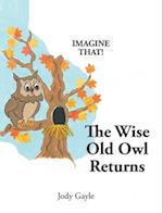 The Wise Old Owl Returns 
