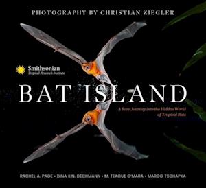 Bat Island : A Rare Journey into the Hidden World of Tropical Bats