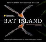 Bat Island : A Rare Journey into the Hidden World of Tropical Bats